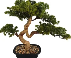 Rośliny Ozdobne*CN-163 Drzewko Bonsai Florino 135