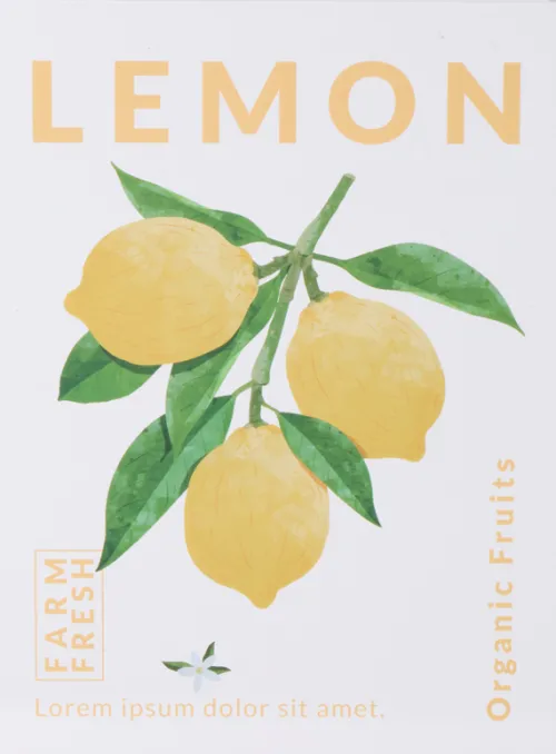 Dekoracje - Ozdoby*CN-265 Książka dekoracyjna Lemoni Books 5 Lemon
