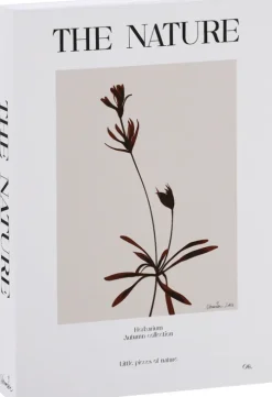 Dekoracje - Ozdoby*CN-265 Książka dekoracyjna Nature Books 8 The Nature