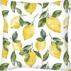 Poszewki Na Poduszki 45X45|Poduszki I Poszewki*CN-144 Poszewka na poduszkę Lemoni 176