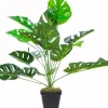 Rośliny Ozdobne*CN-33 Roślina Tasso monstera 65