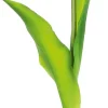 Rośliny Ozdobne*CN-163 Tulipan Florino 92 (czarny)