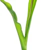 Rośliny Ozdobne*CN-163 Tulipan Florino 92 (czerwony)