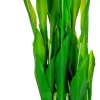Rośliny Ozdobne*CN-163 Tulipany Florino 95 (12szt)