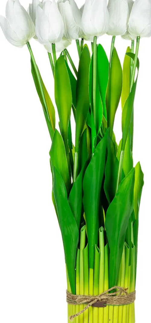 Rośliny Ozdobne*CN-163 Tulipany Florino 95 (12szt)