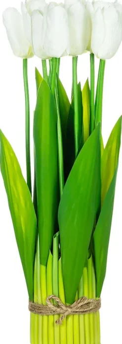 Rośliny Ozdobne*CN-163 Tulipany Florino 96 (12szt.)